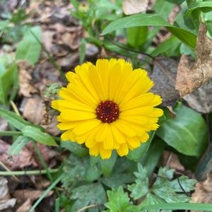 Meet your Posher, Michel